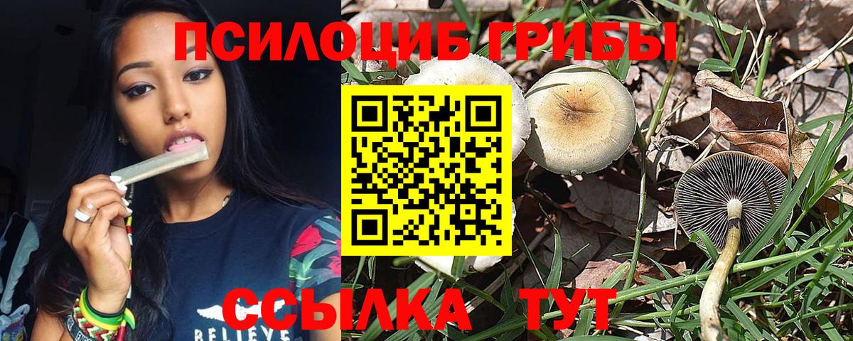 Галлюциногенные грибы GOLDEN TEACHER Тула