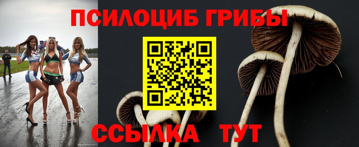 Псилоцибиновые грибы мухоморы  Вход с VPN  Тула  Псилоцибиновые грибы прущие грибы 
